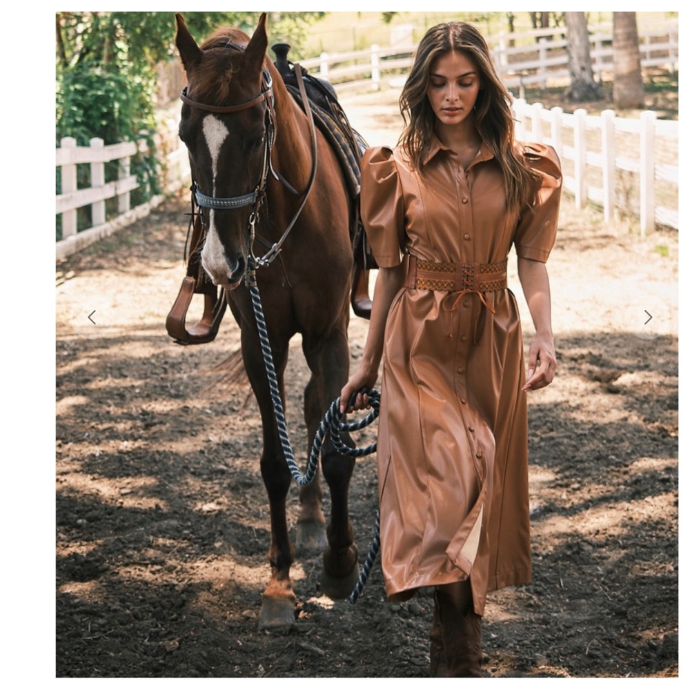 Tan Midi Dress - Picture 5 of 7